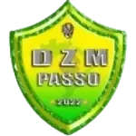 ДЗМ Пассо U20