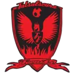 Футсалсеура Феникс
