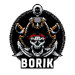 КК Борик