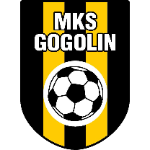 МКС Гоголин U19