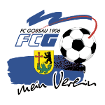 ФК Госсау SG 3