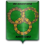 ФК Авангард Климово