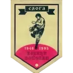 ФК Слога 1952 Велики Поповац