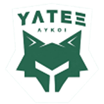 ИЛТЕКС Ликой