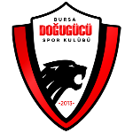 Догугюджю ФК