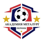 ФК Академия Металург Перник