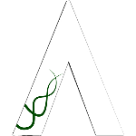 АМ Альянезе