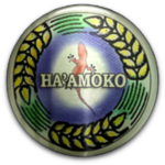 Хаамоко Юнайтед
