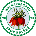 Караагачлыспор