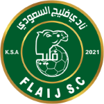 Флайж (жен.)