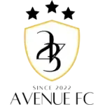 234 Авеню ФК