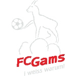 ФК Гамс 2