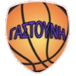 Г.С. Гастунис