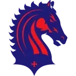 Лондон Бронкос