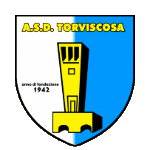 Торвискоза