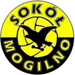 МКС Сокол Могильно