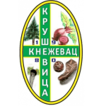 ФК Крушевица 1980 Кнежевац
