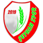 Шейханспор