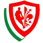 Пино Драгонс Флоренция U20