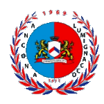 Анкона Луминьякко