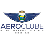 Аэроклубе U20