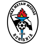 Газ Метан Медиаш U19