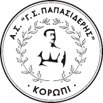 Г.С. Папасидерис