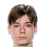 Янкань В / Милетицки М