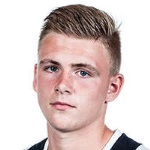 Гольдамер C / Гольдамер T