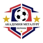 ФК Академия Металлург Перник A U8