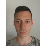 Л. Плеслич