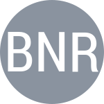 Borges N / Rybakov A