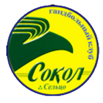 Сокол Брянск-Сельцо