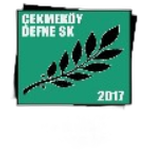 Стамбул Дефнеспор