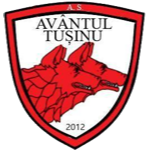 АС Авынтул Тушин