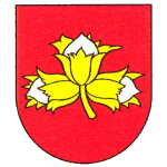 ОШК Лисковец