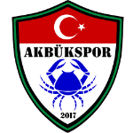 Акбюк Беледиеспор