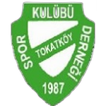 Токаткёй