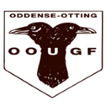 Одденсе-Оттинг Хандболд