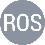 Paredes Roemer L C / Svatikova L