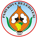 Pamukova 1968 SK