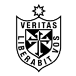 Universidad San Martín