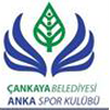 Cankaya Belediyesi Ankara