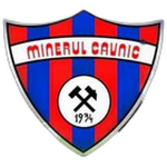 AS Minerul Cavnic
