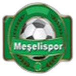 Meşelispor