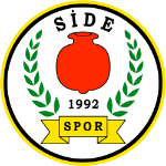 Sidespor
