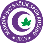 Mardin 1947 Sağlıkspor