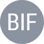 Bizhukova T / Ifidzhen M