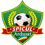 Spicul Ardusat