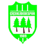 Çiçeklidedespor